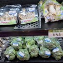 중동청과 이미지