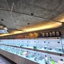 네코스토리 이미지