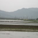 자연여행주 이미지