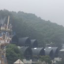 스타벅스비발디파크점 이미지