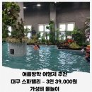 스파밸리 | 여름방학 물놀이 추천｜영유아부터 성인까지 즐기는 대구 스파밸리 후기