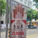 롤로 코리아 네이버블로그
