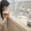미즈모아 산후조리원 | 양산 산후조리원 미즈모아에서 보낸 후기
