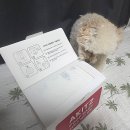 똥싼 강아지 | 강아지 똥봉투 추천 아키즈 배변봉투 365