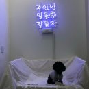 [청주 수제간식]수곡동 애견 수제간식점 "롱롱이네" 방문후기