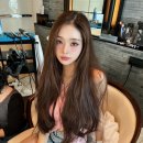 프리지아