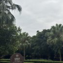 과일깎는오빠 | 대만 이란 카발란(KAVALAN) 증류소 견학 후기｜무료입장+주차+솔리스트 시음까지