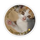 25년 캠핑 시작!! 오들오들 떨었던 벌천포오토캠핑장 C구역