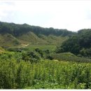 옥돌농장 이미지