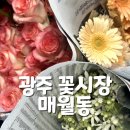 광주 꽃시장 : 눈이 아름다운 특별한 선물 🌷🎁