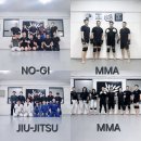 하이복싱체육관 이미지