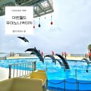 넘버811 | 아이랑 가기 좋은 곳 BEST (3박 4일 직접 다녀온 후기_3) 마린월드 우미노나카미치 페리 가는 방법
