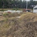 강화조아공인중개사사무소 이미지