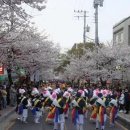 제8회 봉숫골 꽃 나들이 축제 (2010.04.03.∼04.04.) 이미지