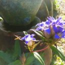 청강농원 이미지