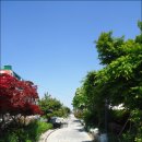 삼례역 앞 이미지