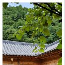 기억 여행- 즐거운 이미지