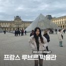 프랑스 루브르 박물관 예약, 모나리자 관람 후기