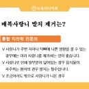 뉴욕말씀치과의원 이미지