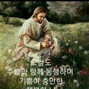 소굴 이미지