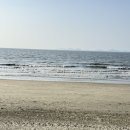 김일수 | 『겸재의 붓과 런던의 인쇄기: 지식이 흐르던 풍경』