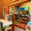 에코야영장 이미지