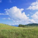 초원컴퓨터 이미지