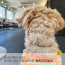 24시간 반려견 동반가능 식사와 음료를 즐길 수 있는 칠백상회