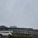 시골집막걸리 네이버블로그
