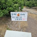 바티하우스 이미지