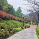 삼선산 수목원 이미지