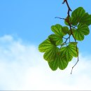 성인생활영어 이미지