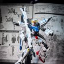 F91 이미지