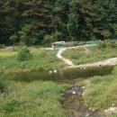 원주굽이길 4코스 꽃양귀비길 이미지