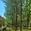 연꽃어린이공원 이미지