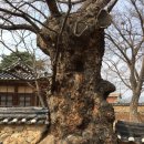 산골물굽이길 이미지