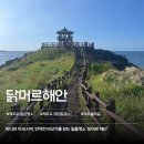 신촌향사 | 가을제주여행 필수 코스, 제주 숨은 명소 닭머르해안
