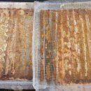 영광안경 이미지