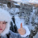 하은식품 | 삿포로 여행 2일차 - 비에이 데이투어 와쿠와쿠 후기, 크리스마스 트리 웨이팅, 쥰페이 도시락...