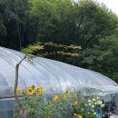 쿵쿵소 캠핑장 이미지