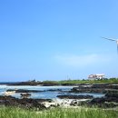 월정리마을회 | &lt;제주도 카약&gt; 월정리해변 근처 해안도로 해변에서 경험하는 투명카약타고 동쪽바다 둥둥!