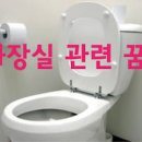 화장실꿈 화장실고치는꿈 화장실찾는꿈 변기막히는꿈 이미지