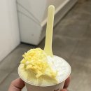 젤라떼리아뮤트