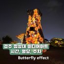 대릉원 | 경주 첨성대 야간 미디어아트 후기 명당 시간 대릉원 일정