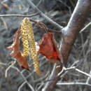 프롭테라피&밴드운동 이미지