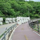 DMZ 평화의 길 22코스 이미지