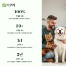 1-TOP PC | 🐾 2025 반려동물 실손형 보험 추천 TOP3! 보장범위·자부담률·청구 간편성 비교 총정리