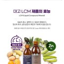 엘씨엠 이미지