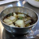 장수갈매기 이미지