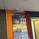 리움호스텔 이미지